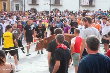 Heifers of Cuenca 2026