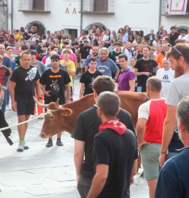 Heifers of Cuenca 2026