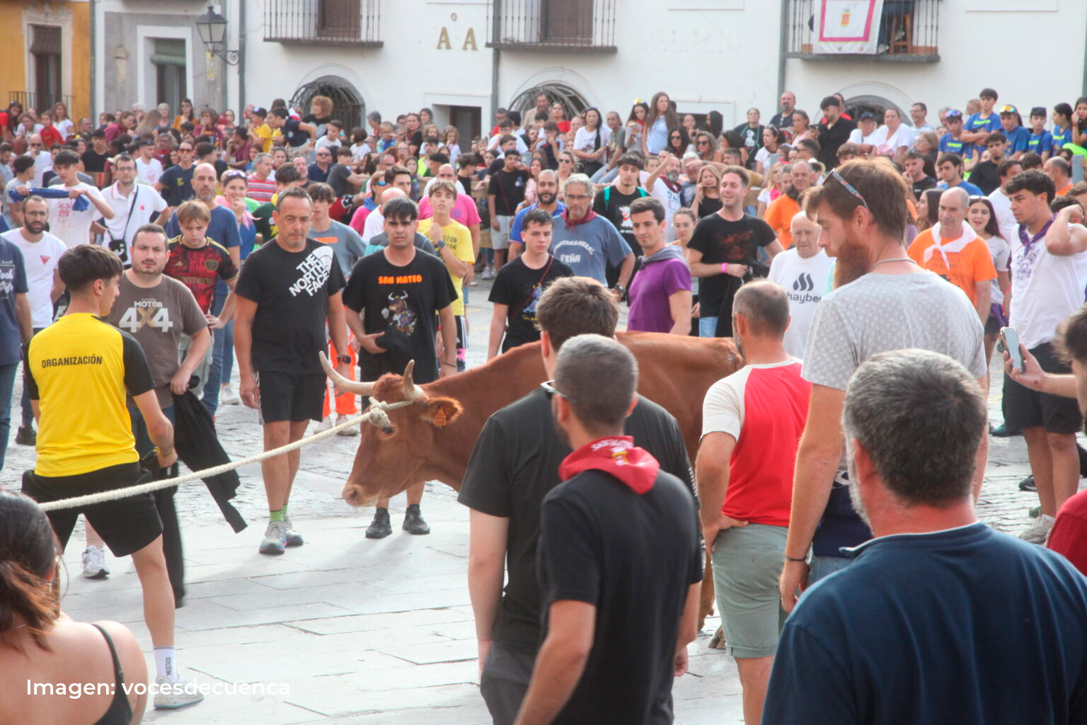 Cuenca repetirá la suelta de vaquillas nocturnas en San Julián 2026